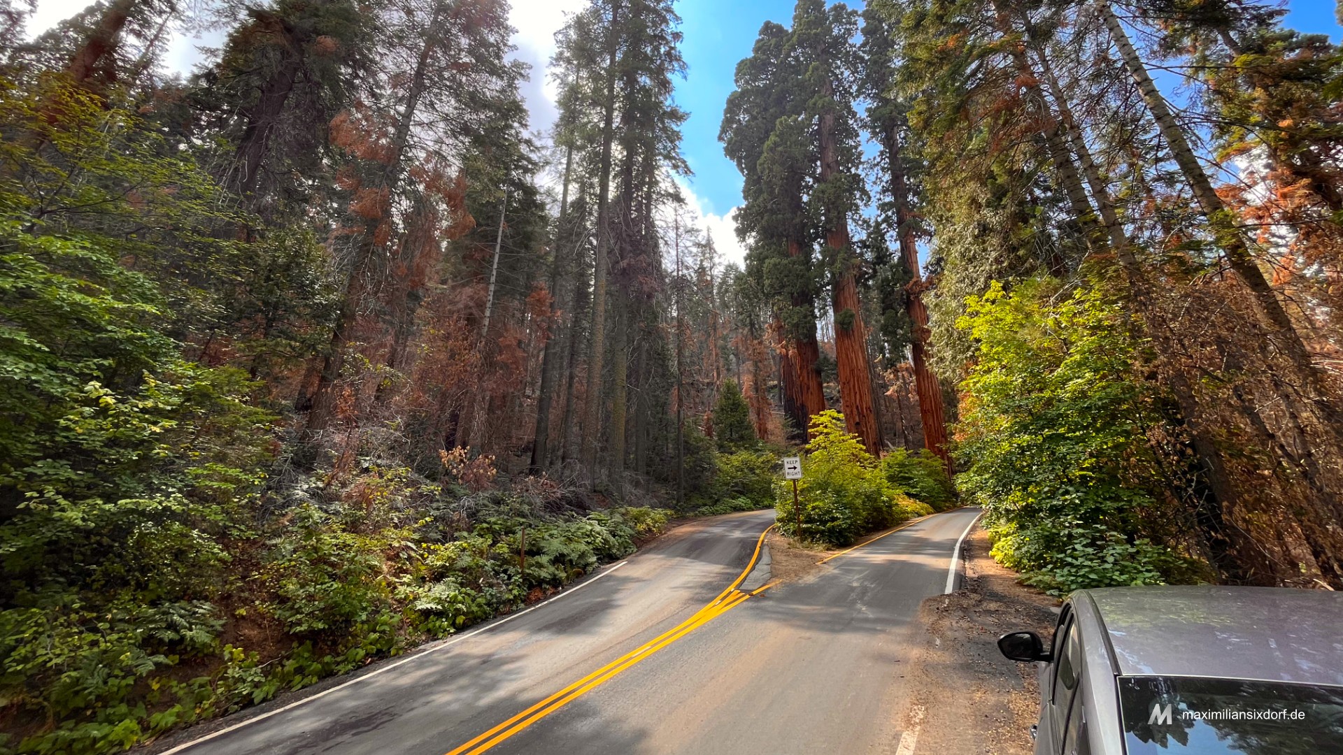 Straßen im Sequoia Nationalpark