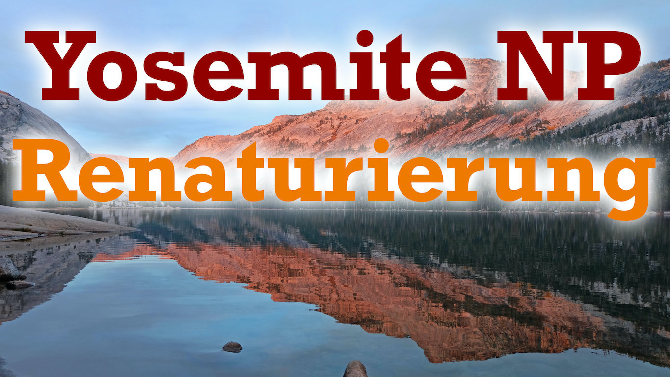 2020: Yosemite Nationalpark renaturiert sich