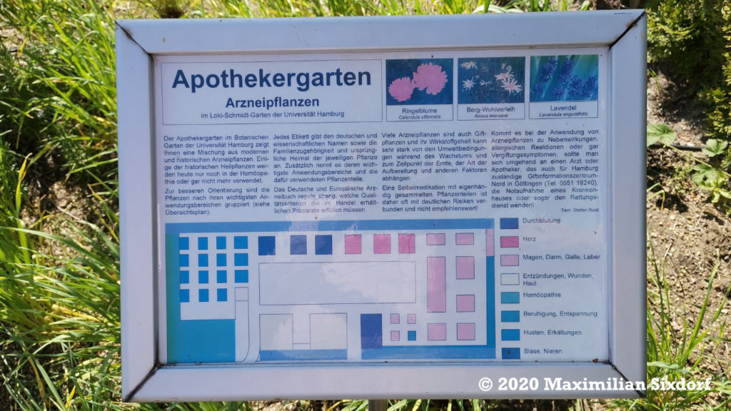 Der Apothekergarten im botanischen Garten Hamburg
