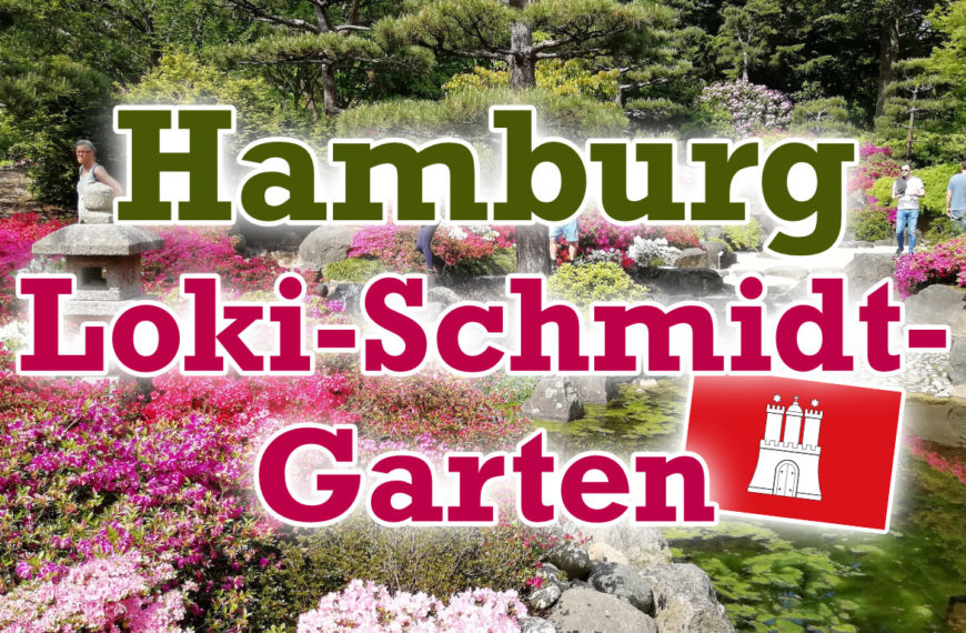 Loki-Schmidt-Garten – Geheimtipp in Hamburg