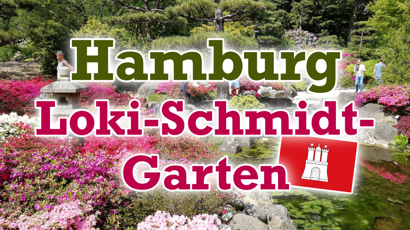 Loki-Schmidt-Garten - Geheimtipp in Hamburg | max.six Reiseblog