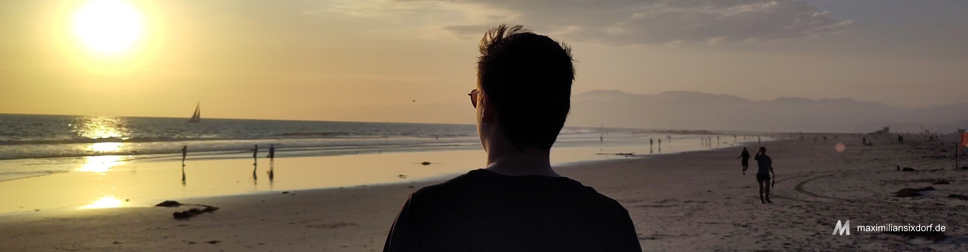 end-banner-strand-venice-beach-max-six