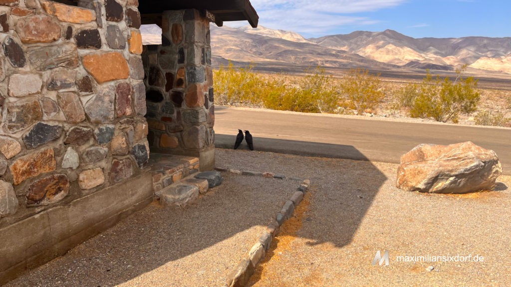 Krähen ausgetrocknet im Death Valley