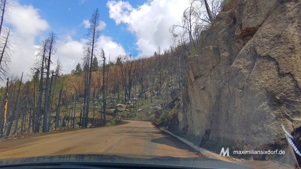 Ein verbranntes Waldstück auf unserem Weg